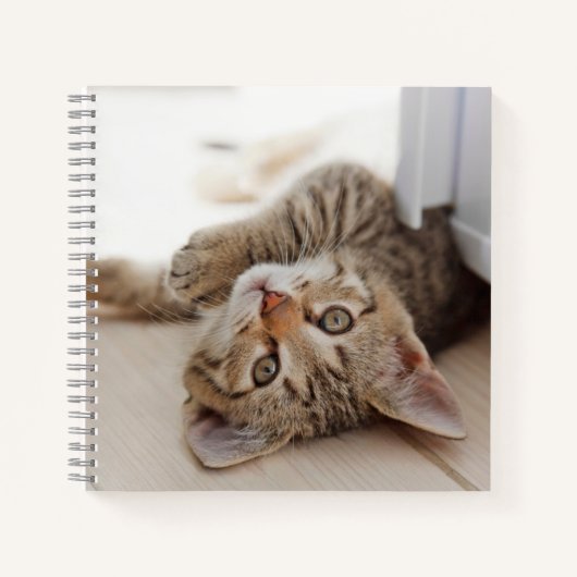 Cutest Baby Animals | Shorthair Tabby Kitten ノートブック (正面)