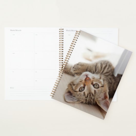 Cutest Baby Animals | Shorthair Tabby Kitten プランナー手帳 (ディスプレー)