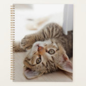 Cutest Baby Animals | Shorthair Tabby Kitten プランナー手帳 (正面)