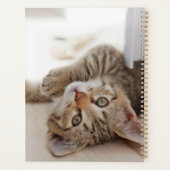 Cutest Baby Animals | Shorthair Tabby Kitten プランナー手帳 (裏面)