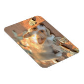 Cutest Baby Animals | Shy Corgi マグネット (右側)