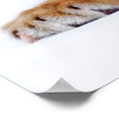 Cutest Baby Animals | Sleepy Baby Tiger Cub ポスター (角)