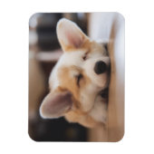 Cutest Baby Animals | Sleepy Corgi マグネット (縦)