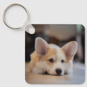 Cutest Baby Animals | Sleepy Corgi Puppy キーホルダー (正面)