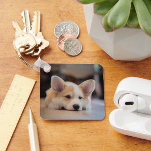 Cutest Baby Animals Sleepy Corgi Puppy キーホルダー