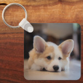 Cutest Baby Animals | Sleepy Corgi Puppy キーホルダー (正面)