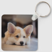 Cutest Baby Animals | Sleepy Corgi Puppy キーホルダー (裏面)