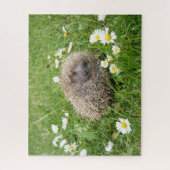 Cutest Baby Animals | Spanish Hedgehog ジグソーパズル (縦)