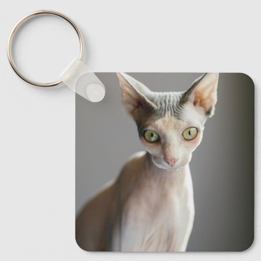 Cutest Baby Animals | Sphinx Cat キーホルダー (正面)
