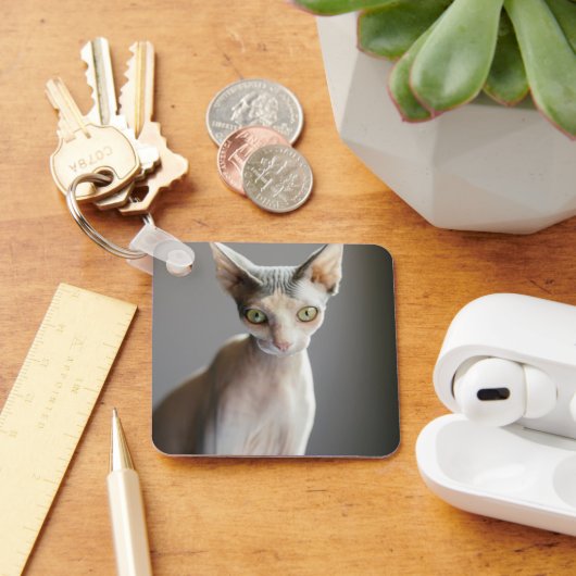 Cutest Baby Animals | Sphinx Cat キーホルダー (デスク)