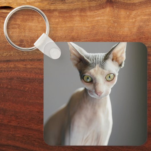 Cutest Baby Animals | Sphinx Cat キーホルダー (正面)