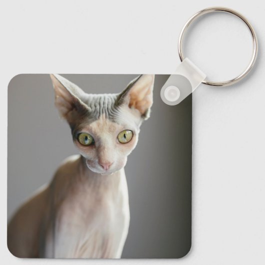 Cutest Baby Animals | Sphinx Cat キーホルダー (裏面)