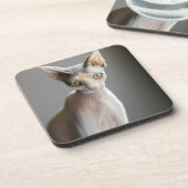 Cutest Baby Animals | Sphinx Cat コースター (左側)