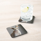 Cutest Baby Animals | Sphinx Cat コースター (右側)