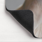 Cutest Baby Animals | Sphinx Cat マウスパッド (コーナー)