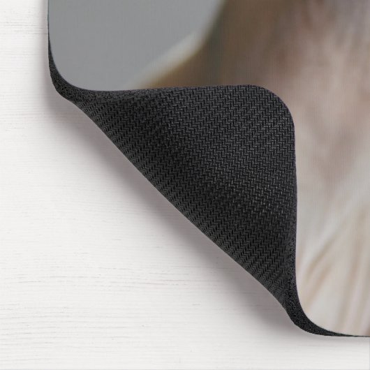 Cutest Baby Animals | Sphinx Cat マウスパッド (コーナー)