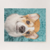 Cutest Baby Animals | Sweet Corgi Puppy Face ジグソーパズル (横)