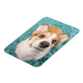 Cutest Baby Animals | Sweet Corgi Puppy Face マグネット (左側)