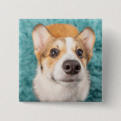 Cutest Baby Animals | Sweet Corgi Puppy Face 缶バッジ (正面)