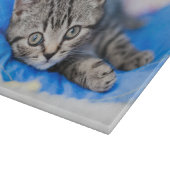 Cutest Baby Animals | Tabby Kitten in Play Tunnel カッティングボード (角)