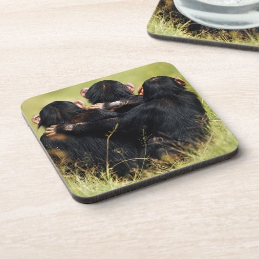 Cutest Baby Animals | Three Chimpanzees Hugging コースター (左側)