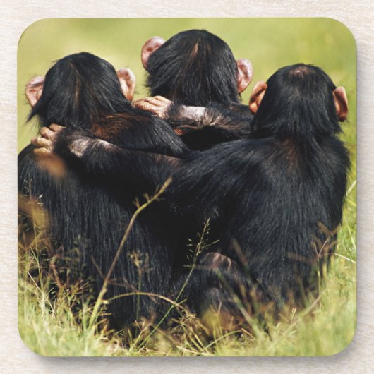 Cutest Baby Animals | Three Chimpanzees Hugging コースター (正面)
