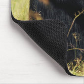 Cutest Baby Animals | Three Chimpanzees Hugging マウスパッド (コーナー)