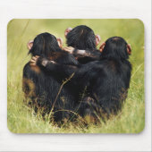 Cutest Baby Animals | Three Chimpanzees Hugging マウスパッド (正面)