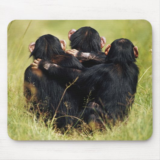 Cutest Baby Animals | Three Chimpanzees Hugging マウスパッド (正面)
