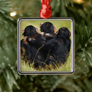 Cutest Baby Animals   Three Chimpanzees Hugging メタルオーナメント
