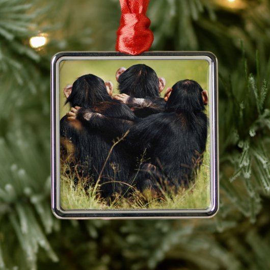 Cutest Baby Animals | Three Chimpanzees Hugging メタルオーナメント (ツリー)