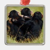 Cutest Baby Animals | Three Chimpanzees Hugging メタルオーナメント (正面)