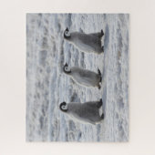 Cutest Baby Animals | Three Emperor Penguin Chicks ジグソーパズル (縦)