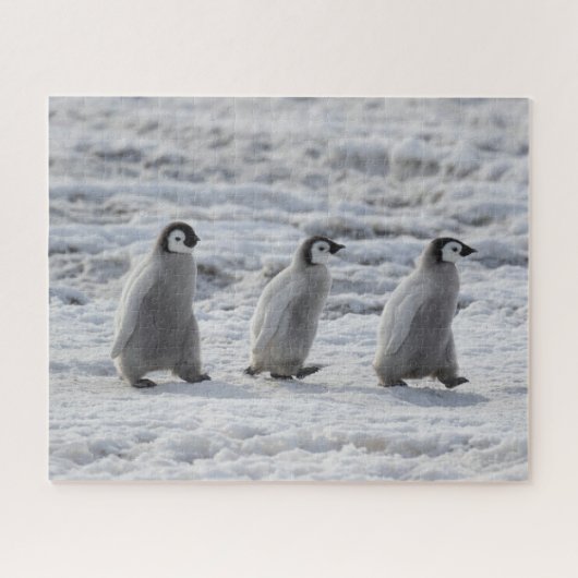 Cutest Baby Animals | Three Emperor Penguin Chicks ジグソーパズル (横)