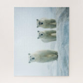 Cutest Baby Animals | Three Young Polar Bears ジグソーパズル (縦)