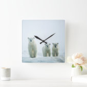 Cutest Baby Animals | Three Young Polar Bears スクエア壁時計 (ホーム)