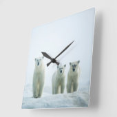 Cutest Baby Animals | Three Young Polar Bears スクエア壁時計 (傾斜)