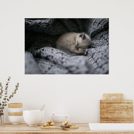 Cutest Baby Animals | Tiny Kitten Sleeping ポスター (キッチン)