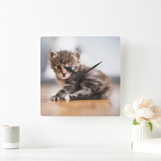 Cutest Baby Animals | Tiny Tabby Kitten スクエア壁時計 (ホーム)