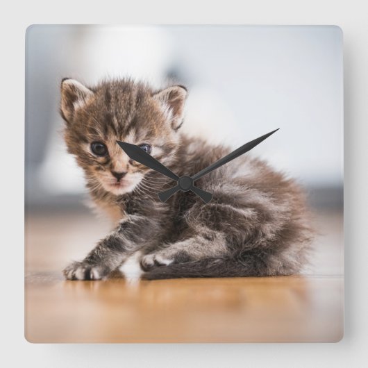 Cutest Baby Animals | Tiny Tabby Kitten スクエア壁時計 (正面)