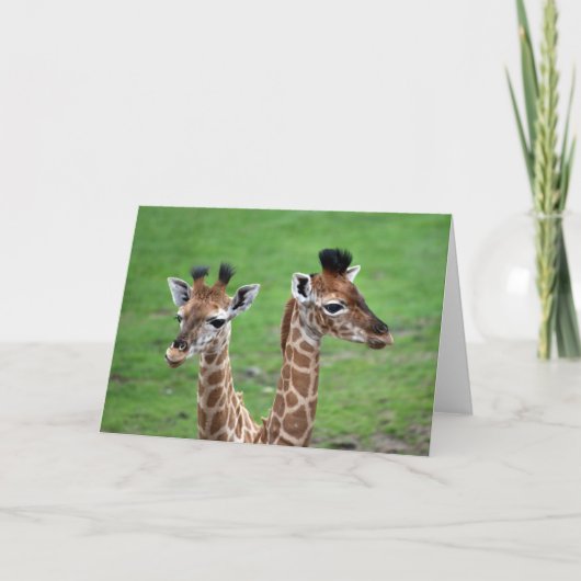 Cutest Baby Animals | Two Baby Giraffes カード (正面)