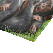 Cutest Baby Animals | Two Young Chimpanzees カッティングボード (角)