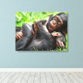 Cutest Baby Animals | Two Young Chimpanzees キャンバスプリント (インサイチュ (ウッドフロア))