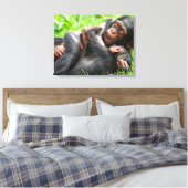 Cutest Baby Animals | Two Young Chimpanzees キャンバスプリント (インサイチュ (寝室))