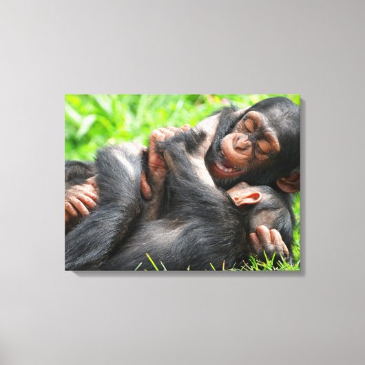 Cutest Baby Animals | Two Young Chimpanzees キャンバスプリント (正面)