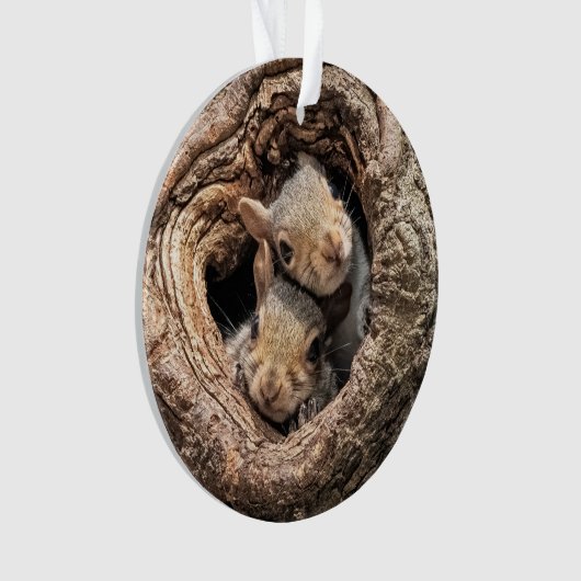 Cutest Baby Animals | Two Young Squirrels オーナメント (正面)