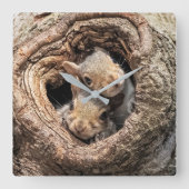 Cutest Baby Animals | Two Young Squirrels スクエア壁時計 (正面)