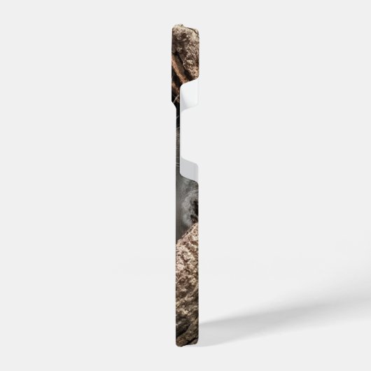 Cutest Baby Animals | Two Young Squirrels iPhoneケース (左側面)