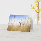 Cutest Baby Animals | Two Young White Tailed Deer カード (黄色い花)