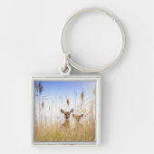 Cutest Baby Animals | Two Young White Tailed Deer キーホルダー (正面)